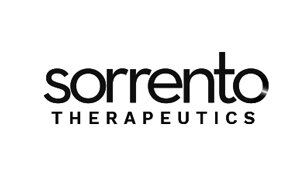Sorrento Logo