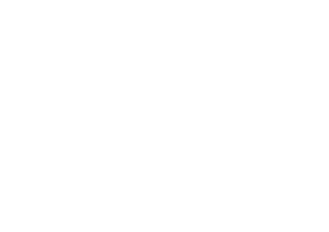 Celularity Logo